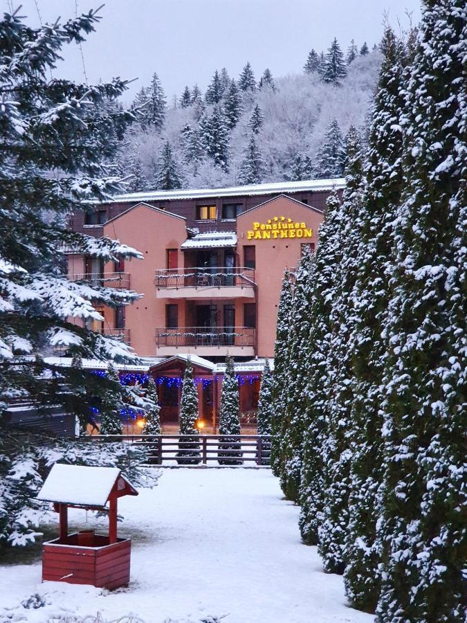 Pension Pantheon Poiana Brasov Exteriör bild